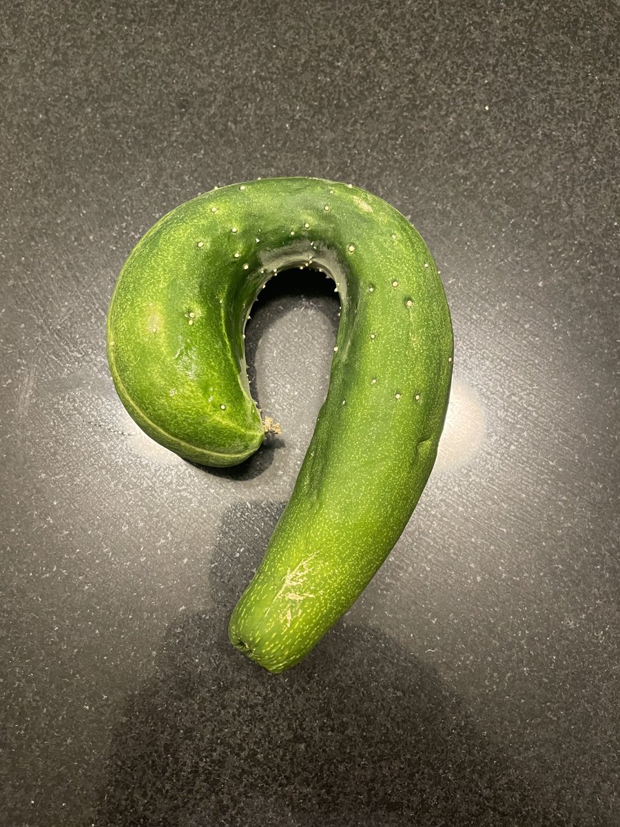 My cucumber growing ability needs some work