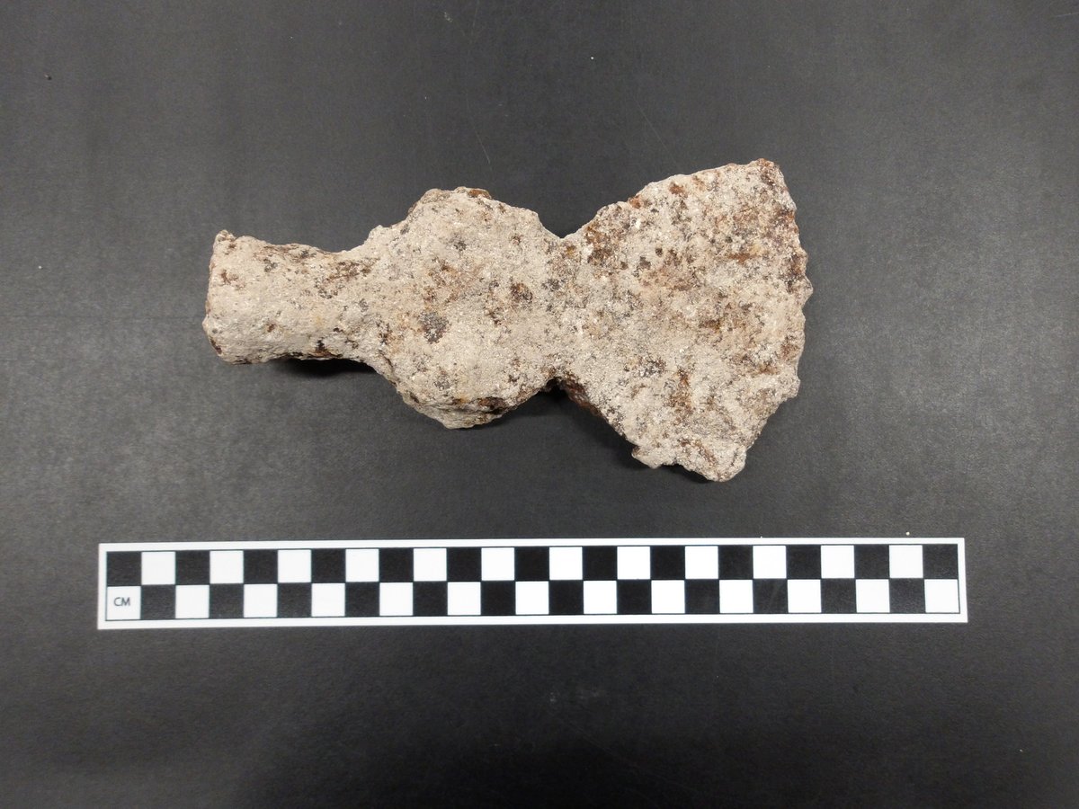 Alamo Church archaeology update ⛏️

Two more mule shoes were found in the same location as the mule shoe from last week! The team also found a partial button and the head of a hatchet.

Read more here: bit.ly/46rkGtI