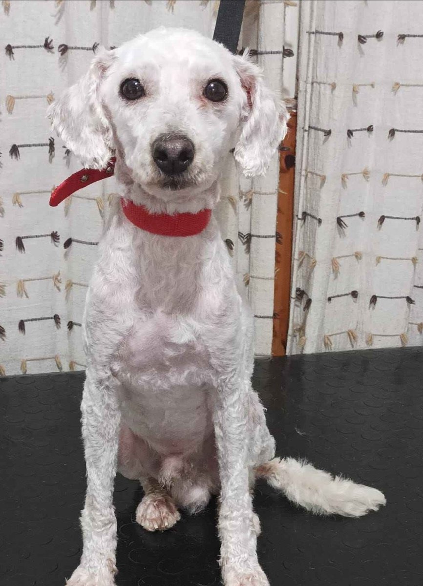 Taponto App tweet media