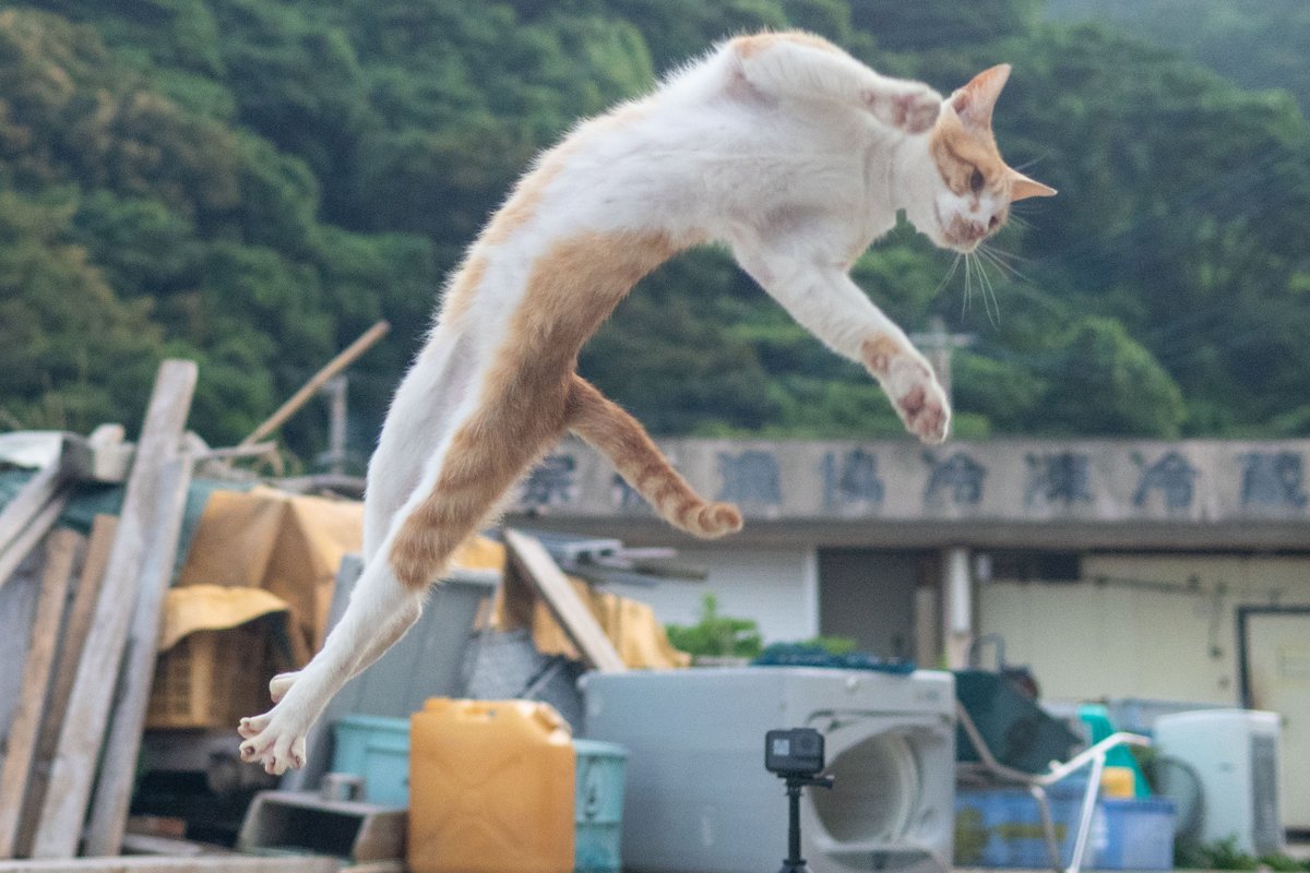 格ゲーキャラの対空技みたいに決めてる