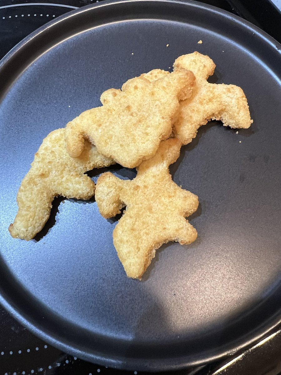 人生初のディノナギーズ~ 🦕