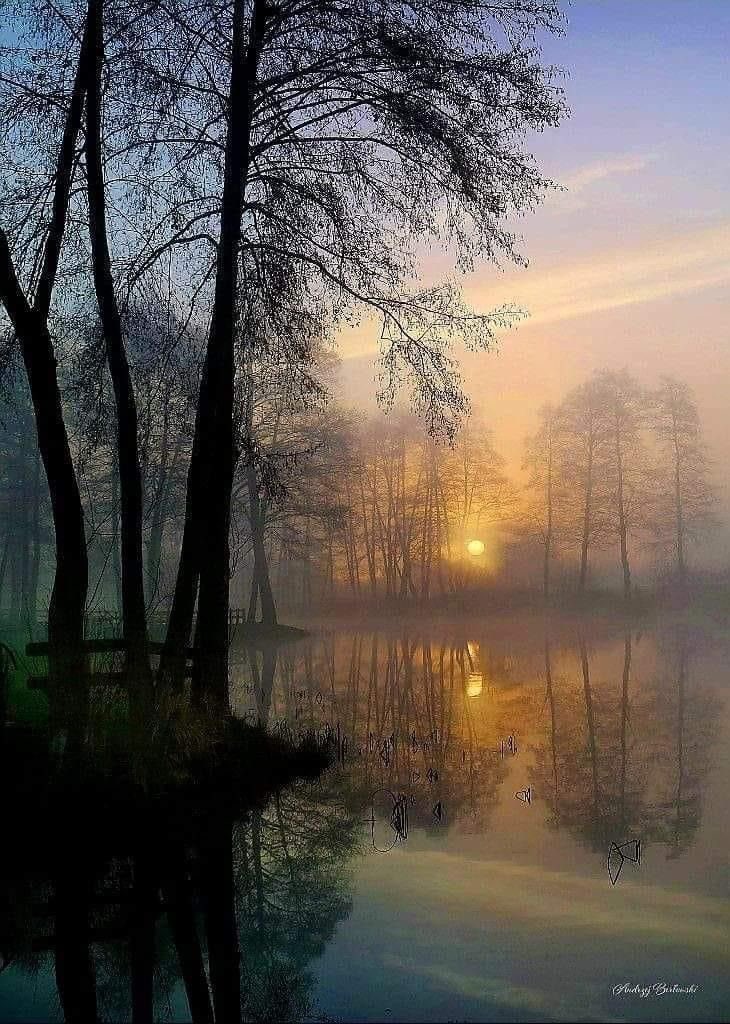 Caressing gentle breeze 
Sleepy trees are drowsy 
Evening singing a lullaby 

#vss365 #poetry