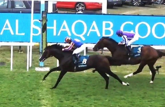 GOODWOOD (Inglaterra): ¡1-2 para el genial AIDAN O’BRIEN! El potro estadounidense SCANDINAVIA superó a su compañero ILLINOIS en un “trágico” GOODWOOD CUP S. (G1)
hipismomundial.com/goodwood-ingla…