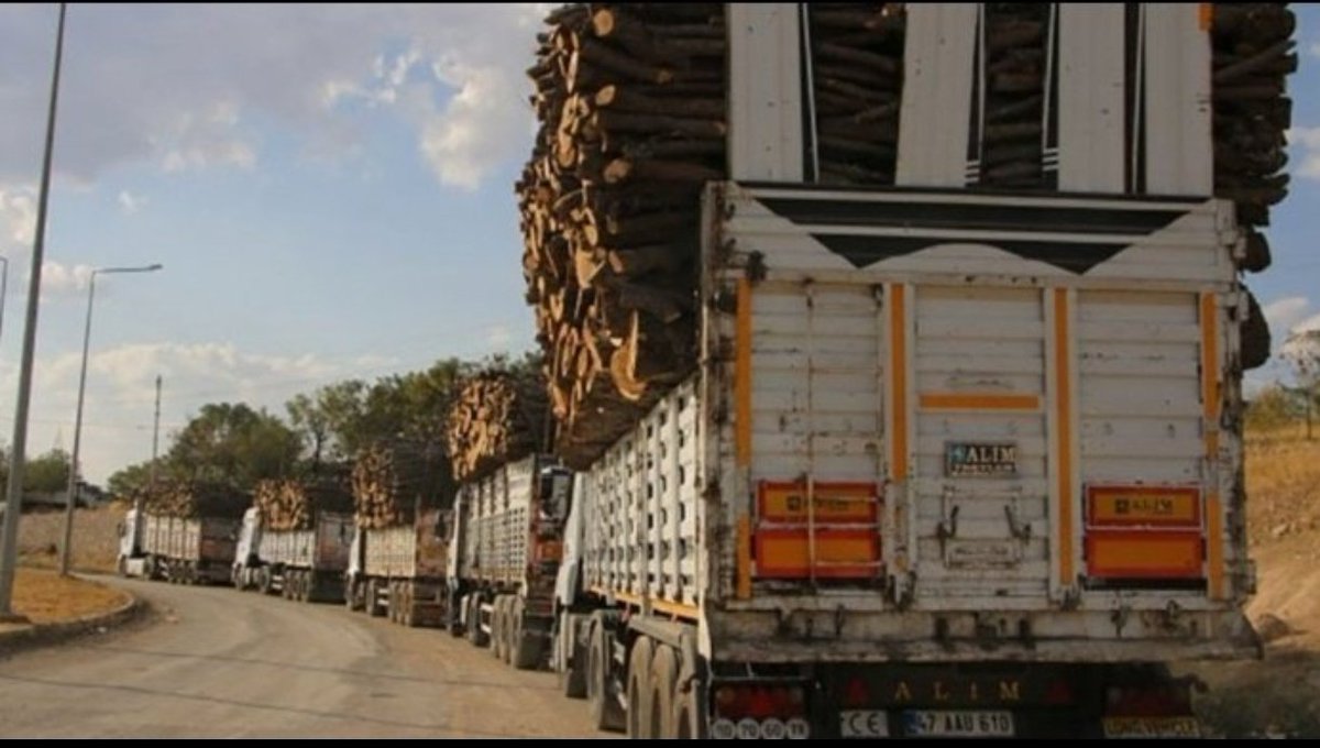 Şırnak'ta tek bir oksijenimiz kalmıştı onu da alıyorlar #şırnaktaağaçkatliamıvar