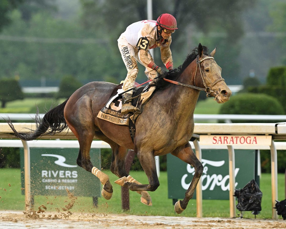 Belmont Gold Cup winner Parchment Party runs in the Listed Birdstone Stakes over 1 3/4m (2800m) over the Saratoga dirt next Wednesday. 

As flagged by <a href="/FlemingtonVRC/">Victoria Racing Club</a>'s Kylie Rogers on <a href="/RSN927/">RSN Racing & Sport</a> this morning, Bill Mott and <a href="/PinOakStud/">Pin Oak Stud</a> are considering a Melbourne Cup bid with him.