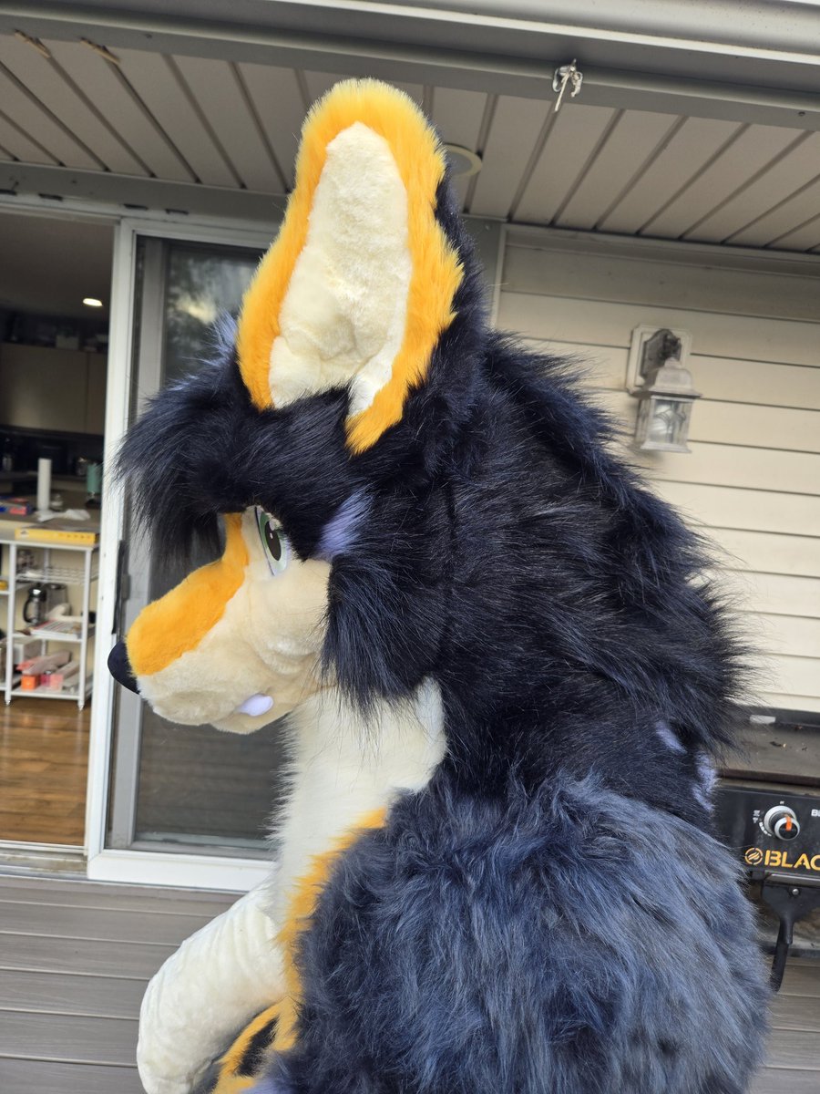 More photos of giant werewolf plush!
