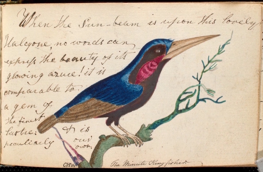 PublicDomainRev's tweet photo. "Friendship books" were the #Facebook of the 17th and 18th centuries (without the ads and data mining). Here's a fine example of one begun in 1795 by the aunt of the poet Felicia Dorothea Browne: https://t.co/a9sLZCqdRI #FriendshipDay https://t.co/YA5tWhfDsV