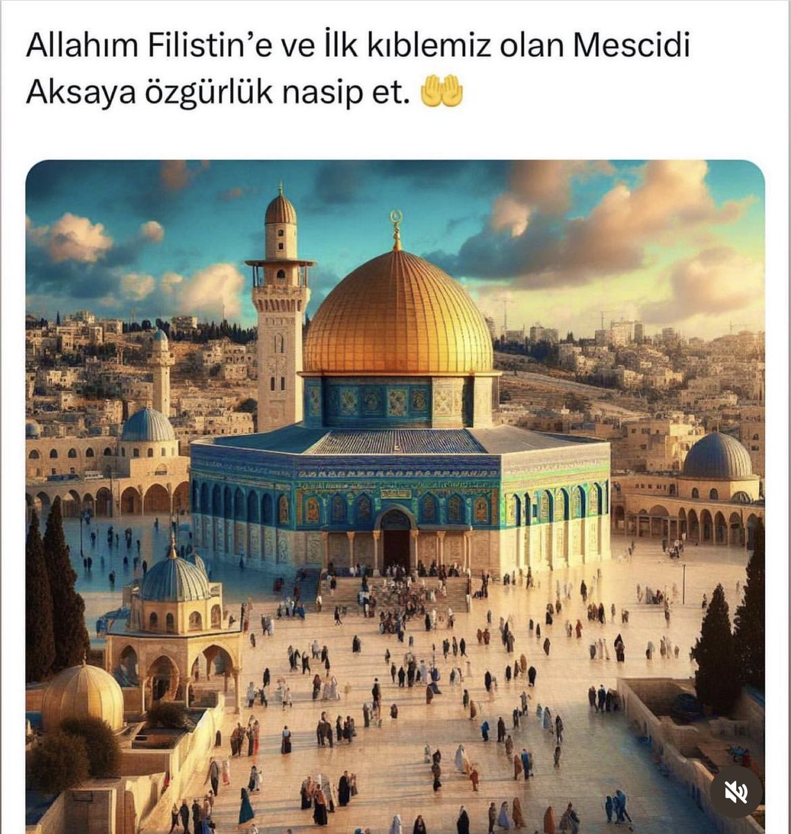 Y.Selim'in dedesi (@dedesi_y) on Twitter photo 
