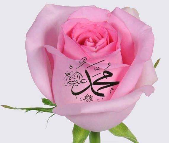 Y.Selim'in dedesi (@dedesi_y) on Twitter photo 