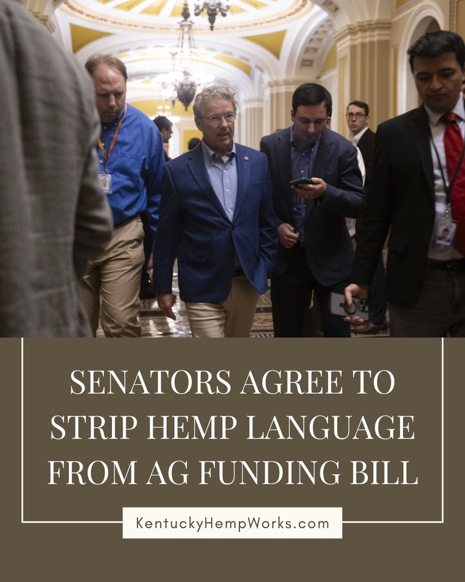 KyHempWorks's tweet photo. Itβs a short-term win, but a powerful one. Thanks to your voices and your action, the Senate has officially stripped the hemp ban language from the ag funding bill! π
π° https://t.co/0P27DOBC4k
#KentuckyHempWorks #HempIsNotACrime #HempVictory #ProtectHemp #FarmFreedom https://t.co/5v8zxieU72
