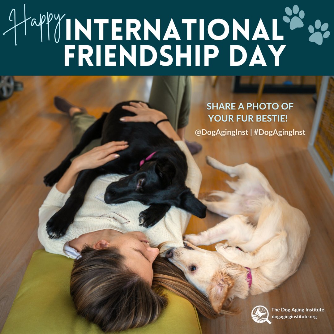 Happy International Friendship Day!  ❤🐶 Let's unleash the fun! Share a snap of your fur bestie and let the cuteness overload begin!

Want to know more about the Dog Aging Institute? Learn more at dogaginginstitute.org!

#friendshipday
