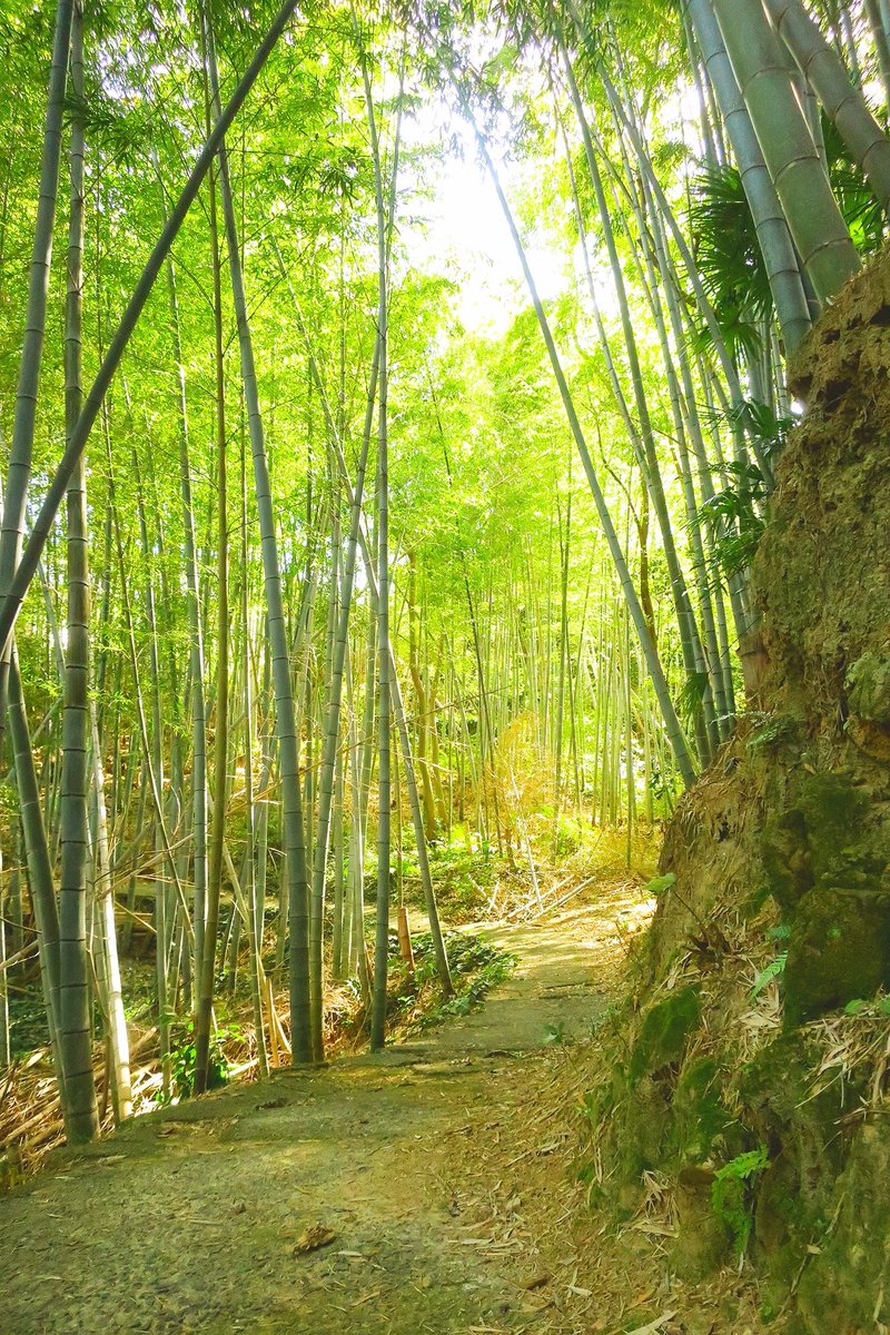 長崎市　深掘町よら
おはようございます☀
＃長崎の風景