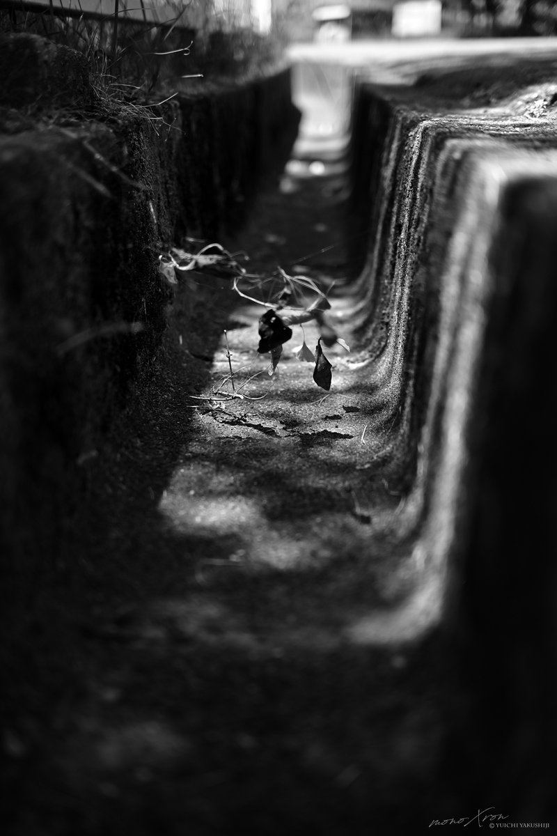 monochrome Days
TRAP