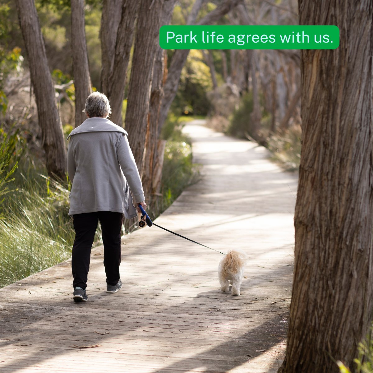 Department of Planning, Housing and Infrastructure tweet media