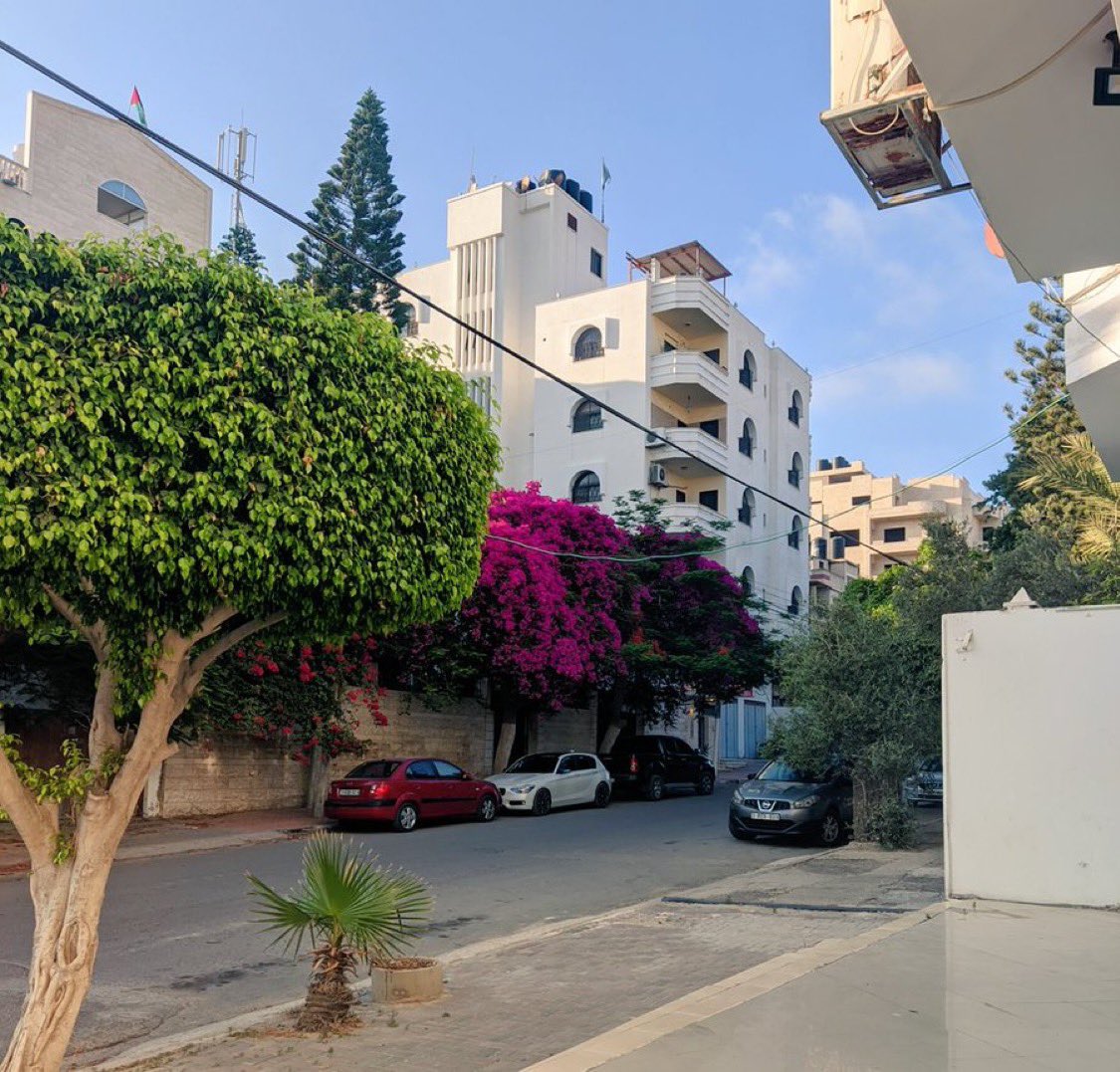 صورة من تصويري لأحد شوارع غزة يوماً ما قبل الإبادة

لقد خسرنا ما لا يمكن لأحد أن يتخيله، العوض الجنة.