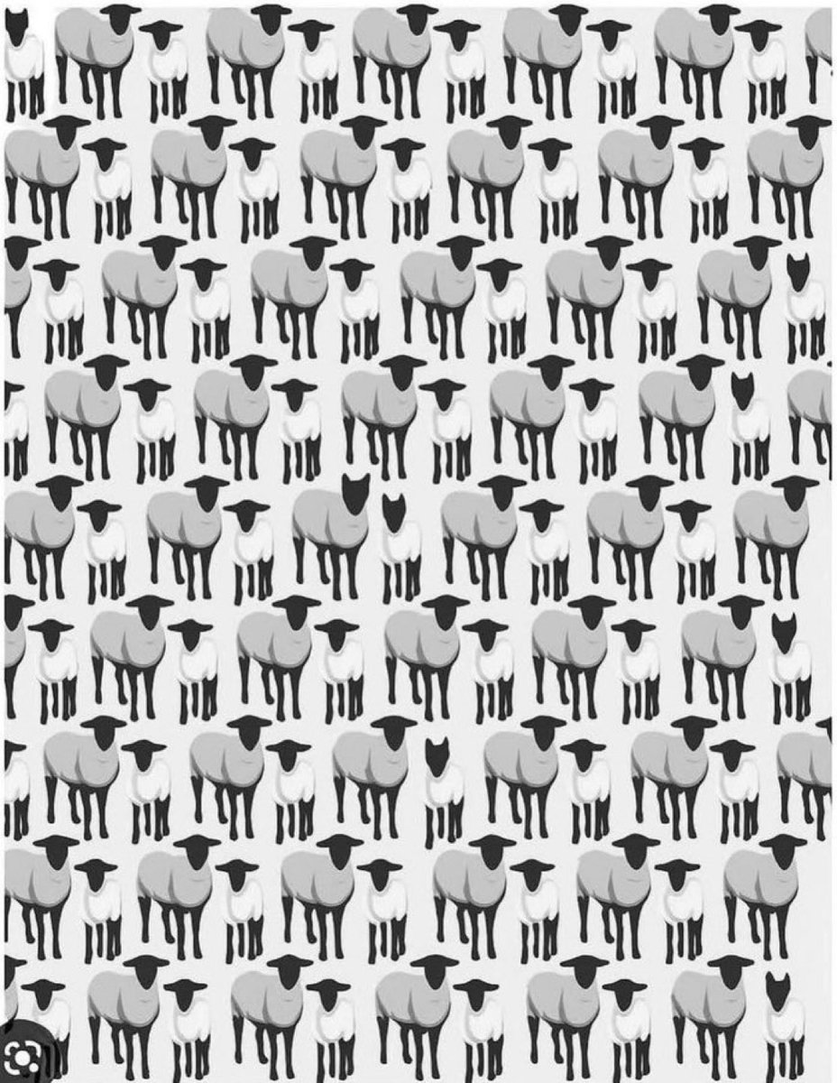 How many wolves among the sheeps?