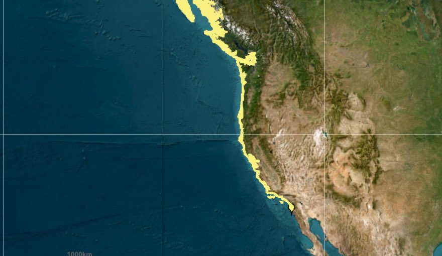 IntelPointAlert's tweet image. BREAKING: Tsunami Watch issued for the western U.S. coastline