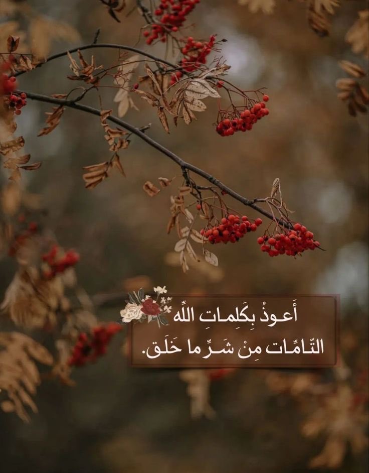 اَلسَلامُ عَلَيْكُم و رحمتہ اللہ وبرکاتہ

صبح بخیر 

اے اللہﷻ ، ہمیں ایمان کی دولت کے ساتھ دونوں جہانوں کی خوشیاں ، راحتیں برکتیں ، اور ڈھیروں نعمتیں عطا فرما 

آمین ثم آمین
یا رب العالمین