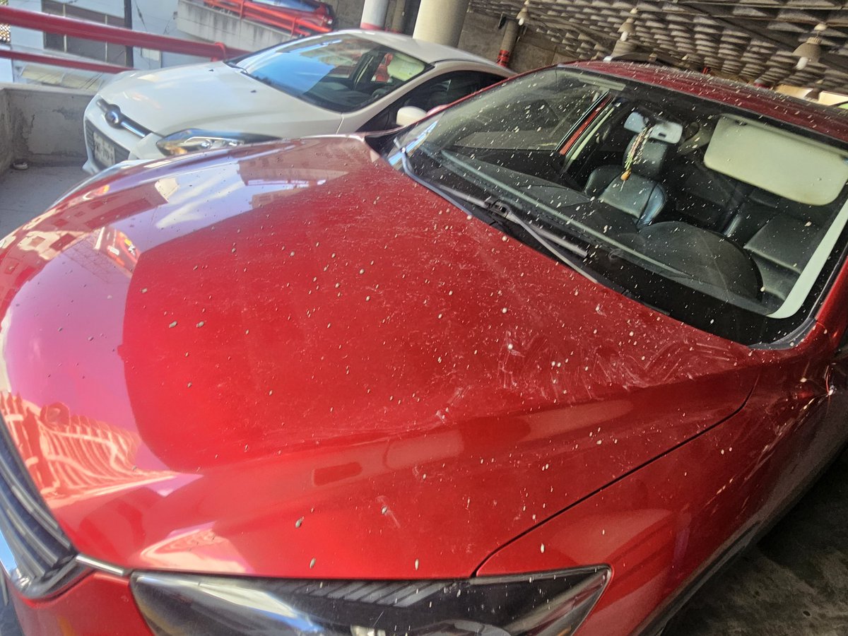 La Inge X⚡ tweet media