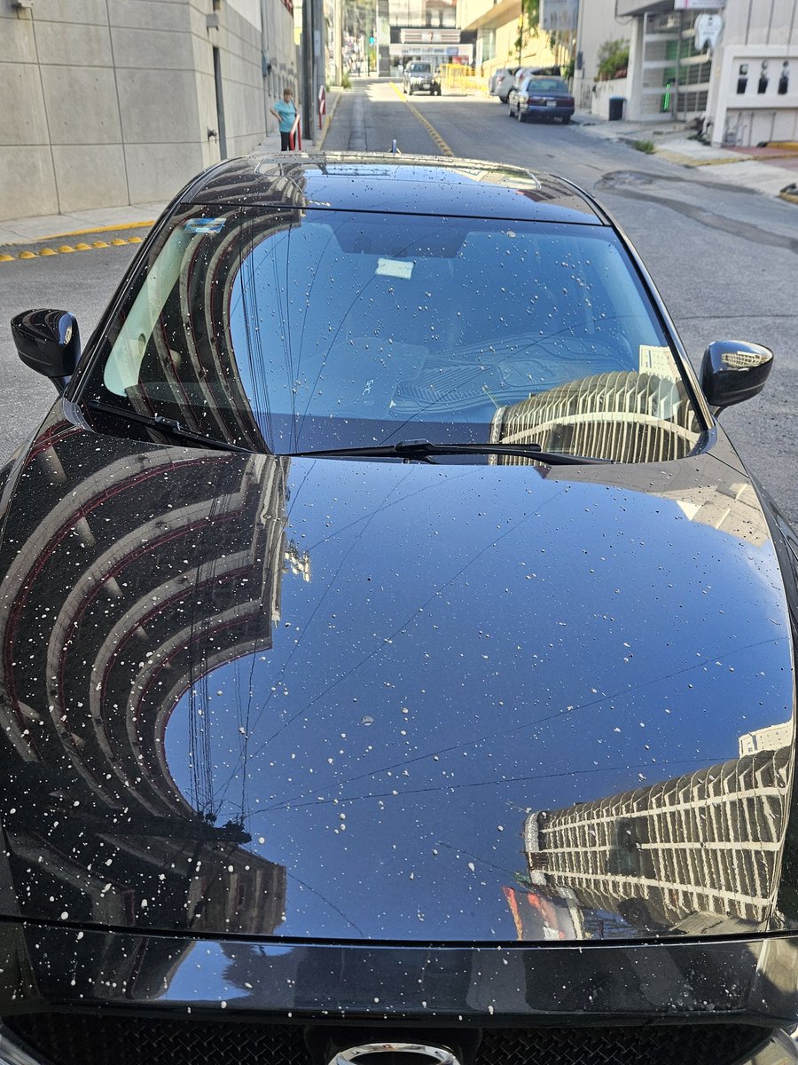 La Inge X⚡ tweet media