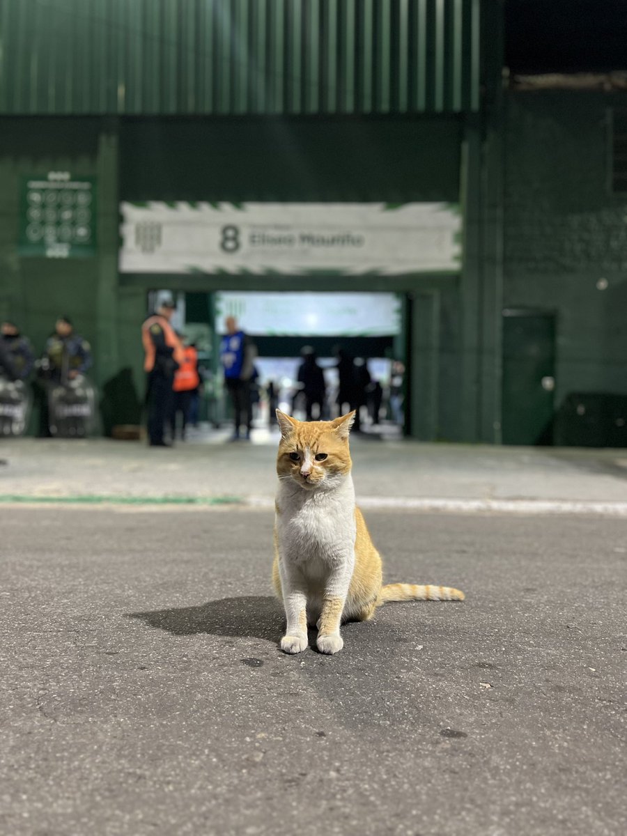Chiqui Tapia botón!