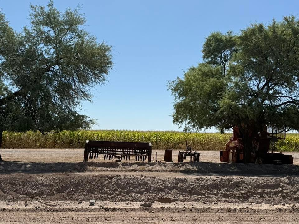 Arizona Farm Bureau (@azfb) on Twitter photo "Beautiful morning and Beautiful corn," says Caywood Farms. Yes, it is ... #arizonagrown "Beautiful morning and Beautiful corn," says Caywood Farms. Yes, it is ... #arizonagrown