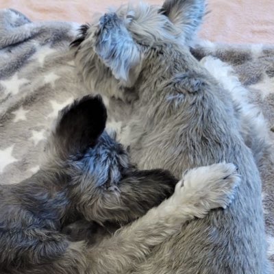 kons48's tweet photo. #新しいプロフィール画像 https://t.co/g211RFSxcS