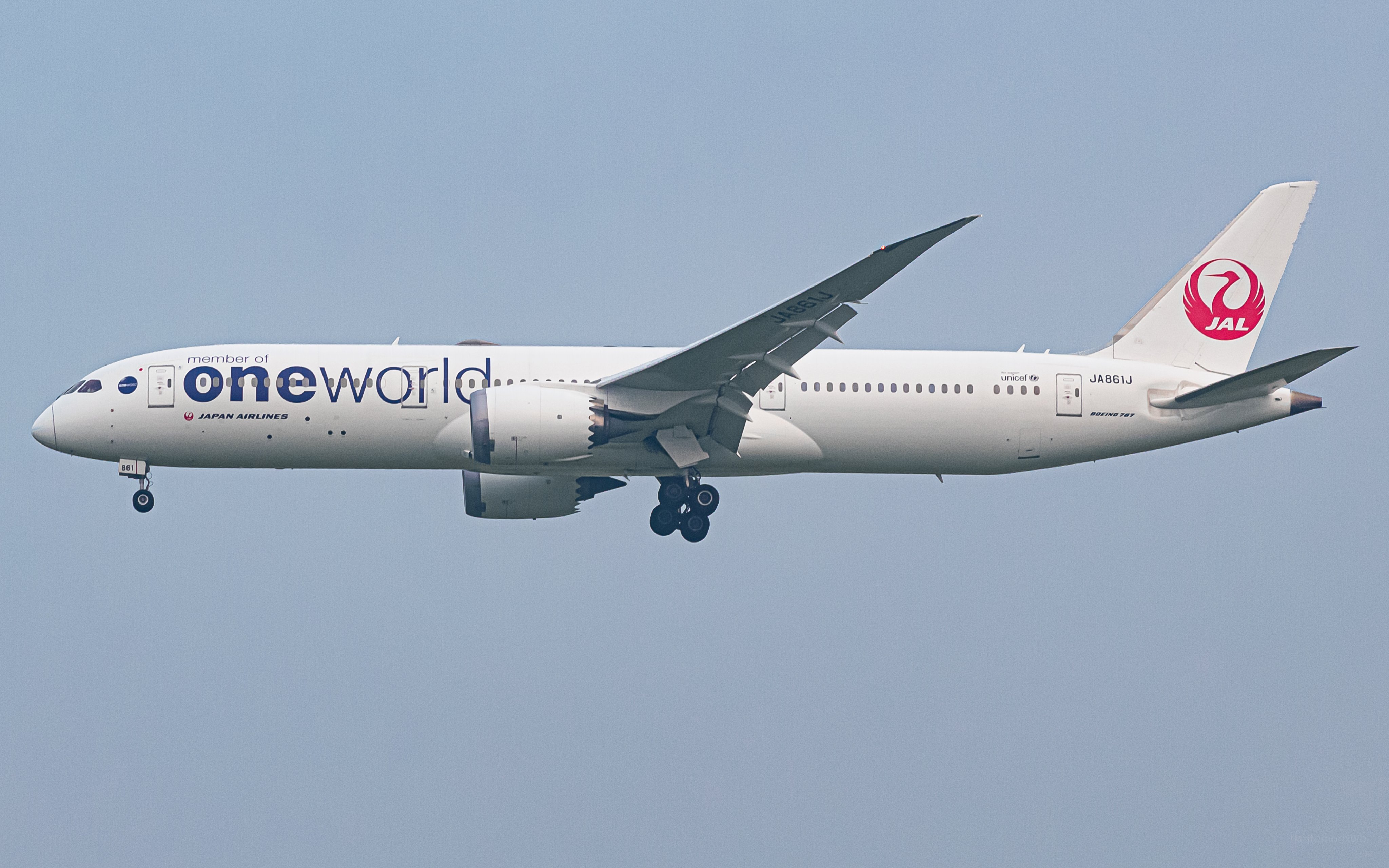 JAL 787-9 日本航空 oneworld ワンワールド JA861J ph Amazon.co.jp: JAL 787-9 oneworld 日本航空 ワンワールド
