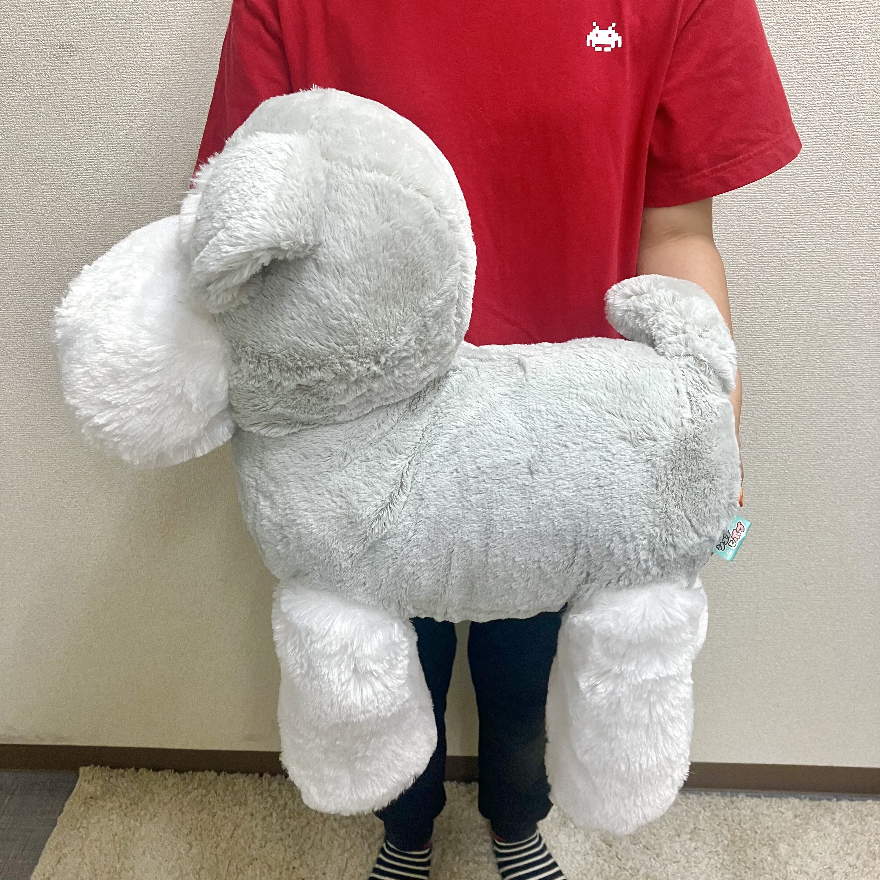 シュンぬいぐるみオーダー 7446615.jpg