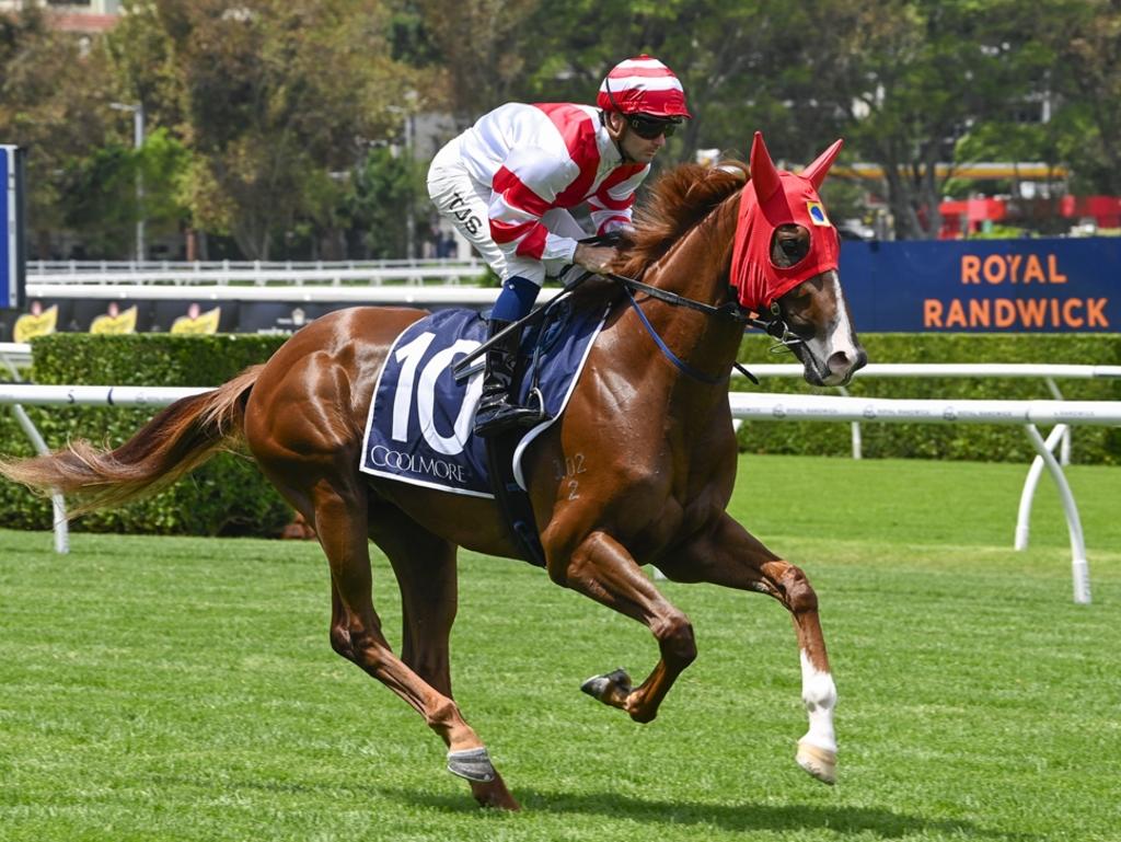 Giddy Up With Gareth Hall (@sengiddyup) on Twitter photo LISTEN | Trial Time
<a href="/deanwatling/">Dean Watling</a> & Matt Morton have been keeping a close eye on all the trials and jumpouts of late and gave us their top 5.
cms.megaphone.fm/channel/NTETP9… LISTEN | Trial Time
<a href="/deanwatling/">Dean Watling</a> & Matt Morton have been keeping a close eye on all the trials and jumpouts of late and gave us their top 5.
cms.megaphone.fm/channel/NTETP9…