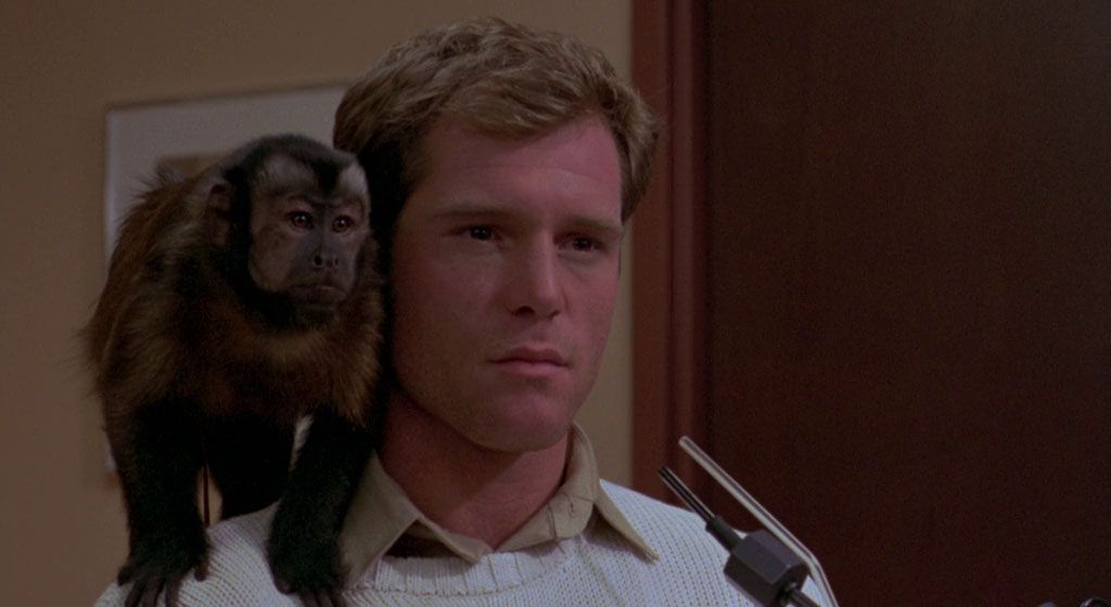 #OnThisDay Monkey Shines (1988) opened in US theaters 37 years ago today (7/29/1988)

What did you think of it? 🤔