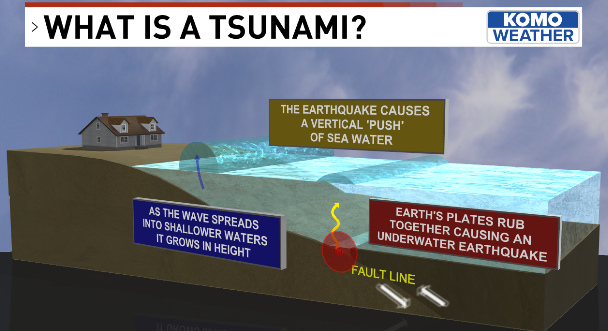 A TSUNAMI WATCH has been issued for the U.S west coast, including Washington. This means a tsunami is *possible*...that could change. Have an evacuation plan in place is case this is upgraded to a warning.
So far, projected arrival times for the WA coast are ~ 11:30-midnight.