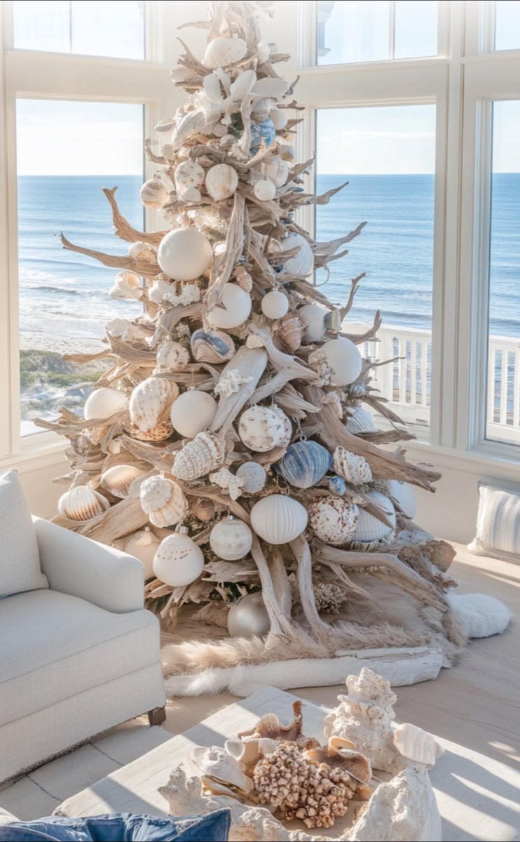 5 months to Christmas 😎 Florida Style