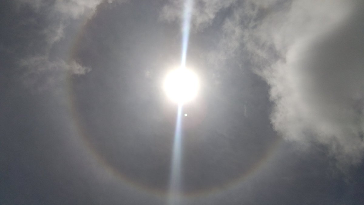 今月23日から、家族で小笠原に来ています。前半は充実して遊べましたが雲行きが怪しくなってきて台風で帰りの船が欠航になり、なかなか帰る目処が立たないままでいました。が、今度は津波警報…！
できれば早めに、無事帰れますように…