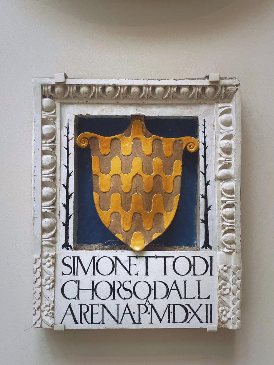 I walk with grace, speak with purpose, and carry the fire of Meozum inside. 💃💫