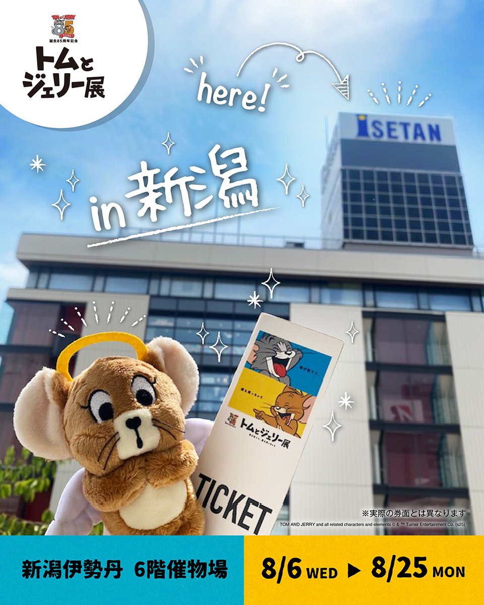 トムジェリ85周年 記念🎊 #トムジェリ展 in新潟まであと7日💨 🟡🔵 お
