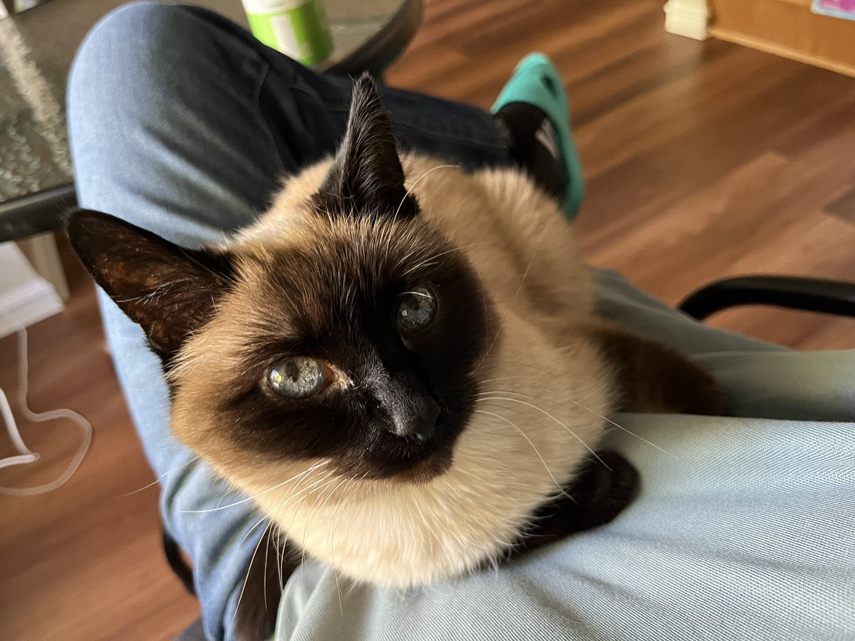 GxETSQBaIAAcR6c.jpg?format=jpg