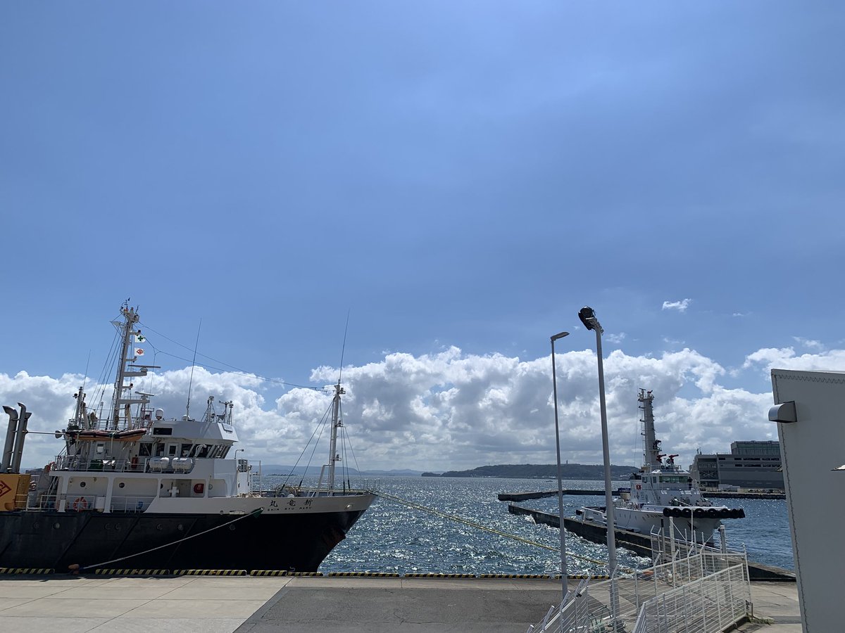 令和7年7月30日、今日の横須賀新港ふ頭のようすです。
夏空が広がり北東の風が強く吹いて波がうねっています。太平洋側を中心に津波警報・注意報が発表されておりますので、海水浴や釣りなどの海でのレジャーの際には十分注意をして避難してください。