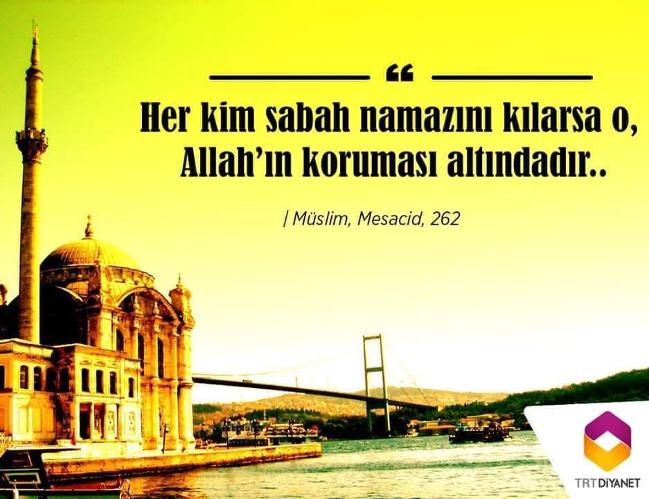 Y.Selim'in dedesi (@dedesi_y) on Twitter photo 