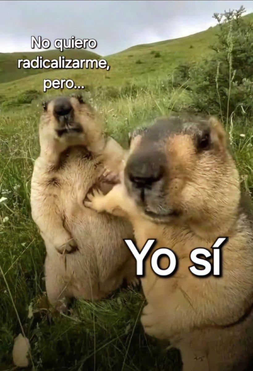 Después del fallo contra el Presidente Uribe, Colombia 🇨🇴 se está des-tibiando.

Muchos empezaron, por fin, a hablarle a la izquierda de mierda sin guardar las formas, a los putazos, a ir hasta las últimas consecuencias.

Colombia se está polarizando y...

Me encanta. 😍