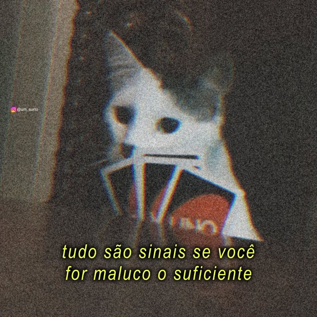 TerrorCotidiano's tweet image. 