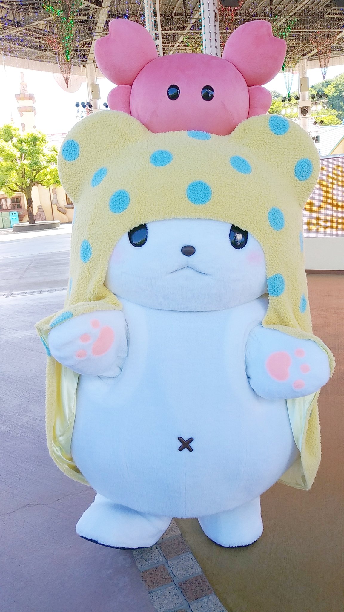 ぽん·พร·pon🍥🕙 (@pon_gudetama) / X