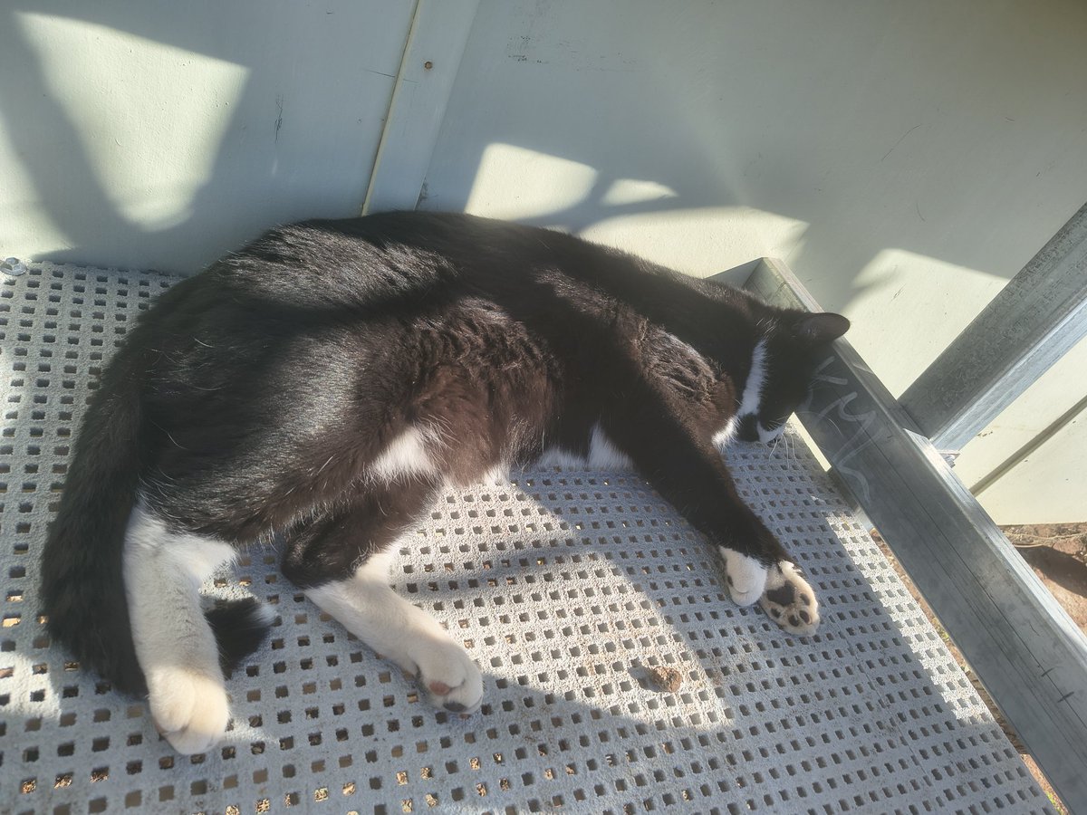 Emma Datson tweet media