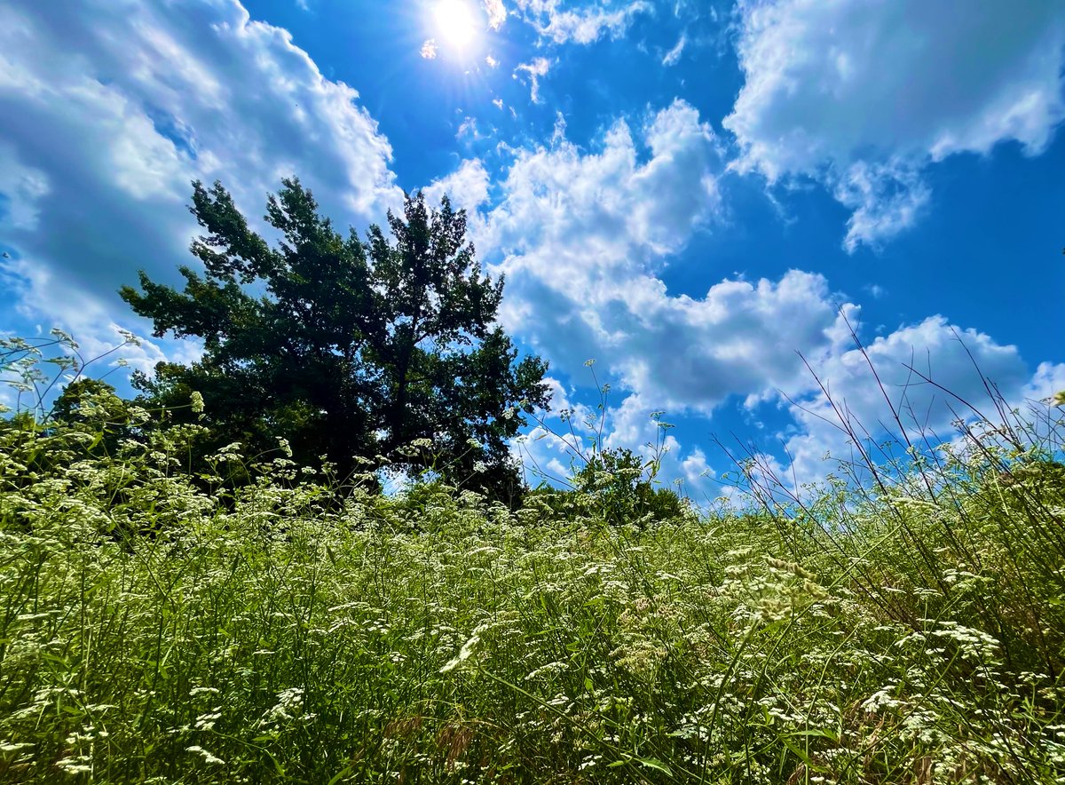 Just felt like sittin down amongst the flowers