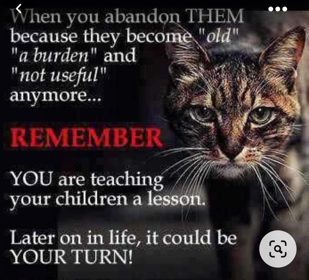 πEffies' Lava Boils@Resist effie (@lavaerupted) on Twitter photo <a href="/SAnimals67/">saving.animals67 #Vegan #FamilyCarer</a> <a href="/AmyRoseKathryn/">Compassion 4 Animals</a> <a href="/ABCagny/">August</a> <a href="/abby_alexandria/">alexandria abby</a> <a href="/abbytencat/">Carolyn ππ</a> <a href="/Bron1954/">Eleanor Abernathyβ I proudly voted Yes</a> <a href="/McElroyMarra/">bluebonnetdem NO FUCKS LEFTππΎ</a> <a href="/blanchenorris50/">Blanche Norris</a> <a href="/psychicwhisper3/">Eileen Bacon</a> <a href="/tinkandbelle/">Barbara/Elaine</a> <a href="/firejelly40/">firejelly40</a> <a href="/KindFashionNYC/">Fashionably Kind NYC</a> <a href="/MorgFairsdogs/">Morgan Fairchild's Dogs</a> <a href="/gossysgirl74/">Ava-Maria Judith Heart</a> Thank you so much..π€ππ
πππ ππI love them and their advocates
for their love & compassion <a href="/SAnimals67/">saving.animals67 #Vegan #FamilyCarer</a> <a href="/AmyRoseKathryn/">Compassion 4 Animals</a> <a href="/ABCagny/">August</a> <a href="/abby_alexandria/">alexandria abby</a> <a href="/abbytencat/">Carolyn ππ</a> <a href="/Bron1954/">Eleanor Abernathyβ I proudly voted Yes</a> <a href="/McElroyMarra/">bluebonnetdem NO FUCKS LEFTππΎ</a> <a href="/blanchenorris50/">Blanche Norris</a> <a href="/psychicwhisper3/">Eileen Bacon</a> <a href="/tinkandbelle/">Barbara/Elaine</a> <a href="/firejelly40/">firejelly40</a> <a href="/KindFashionNYC/">Fashionably Kind NYC</a> <a href="/MorgFairsdogs/">Morgan Fairchild's Dogs</a> <a href="/gossysgirl74/">Ava-Maria Judith Heart</a> Thank you so much..π€ππ
πππ ππI love them and their advocates
for their love & compassion