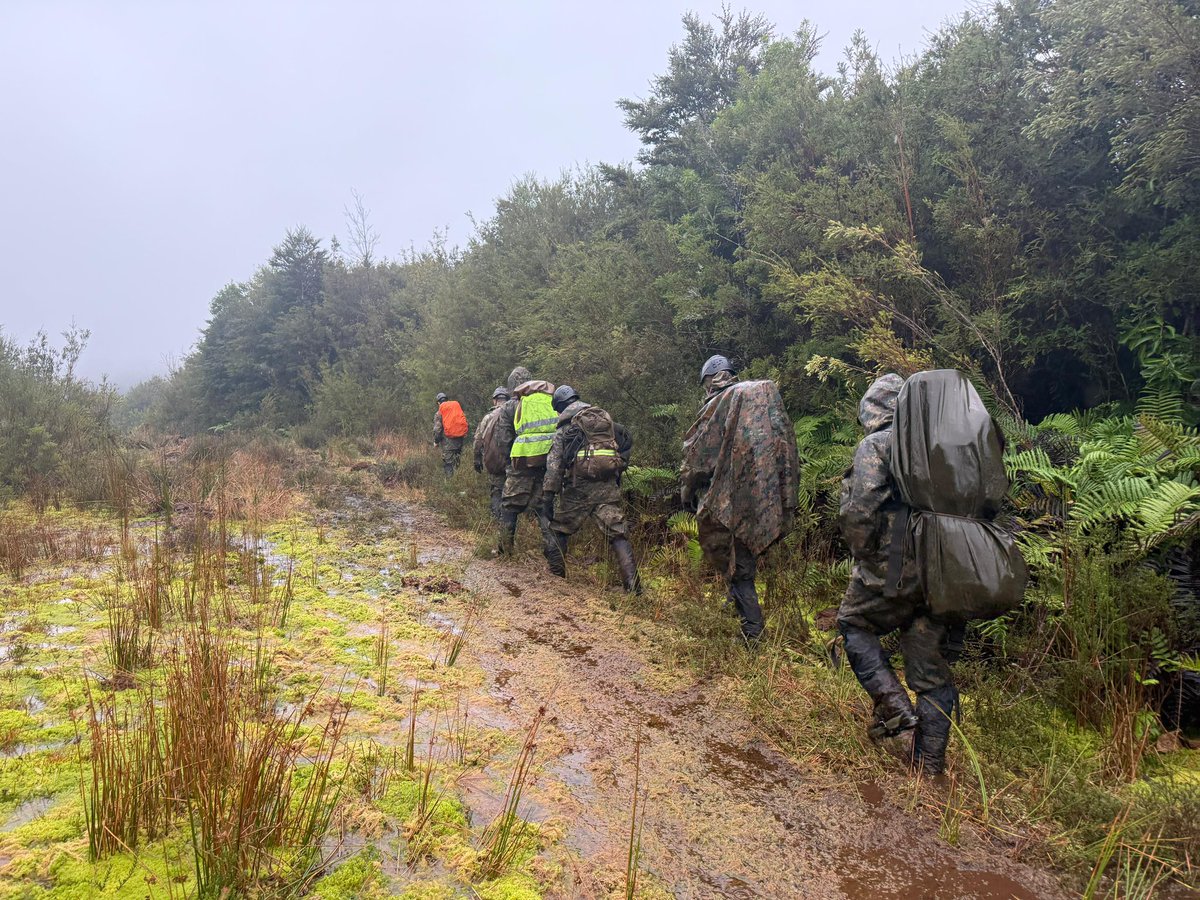 #EjércitoEnAcción: Una Patrulla de Auxilio y Rescate Militar del Ejército (#PARME)  del Destacamento de Montaña N°9 “Arauco” se encuentra trabajando en la búsqueda de un ciudadano desaparecido en el Parque Tepuhueico de la Comuna de #Chonchi de la Provincia de #Chiloé.