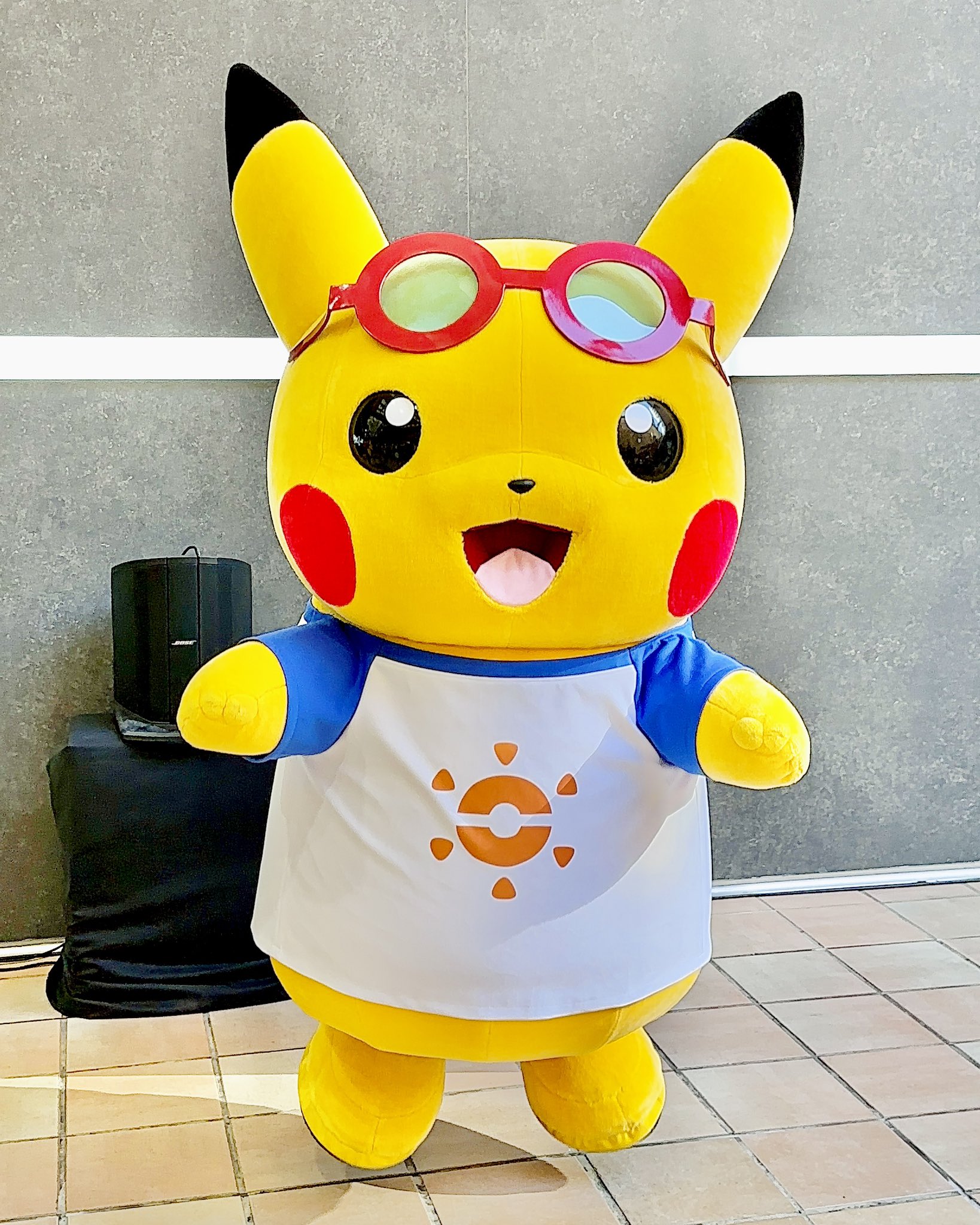 ※鮪さん専用　ピカチュウ ピカチュウ(MameAkimaru)【P】{XY-P}