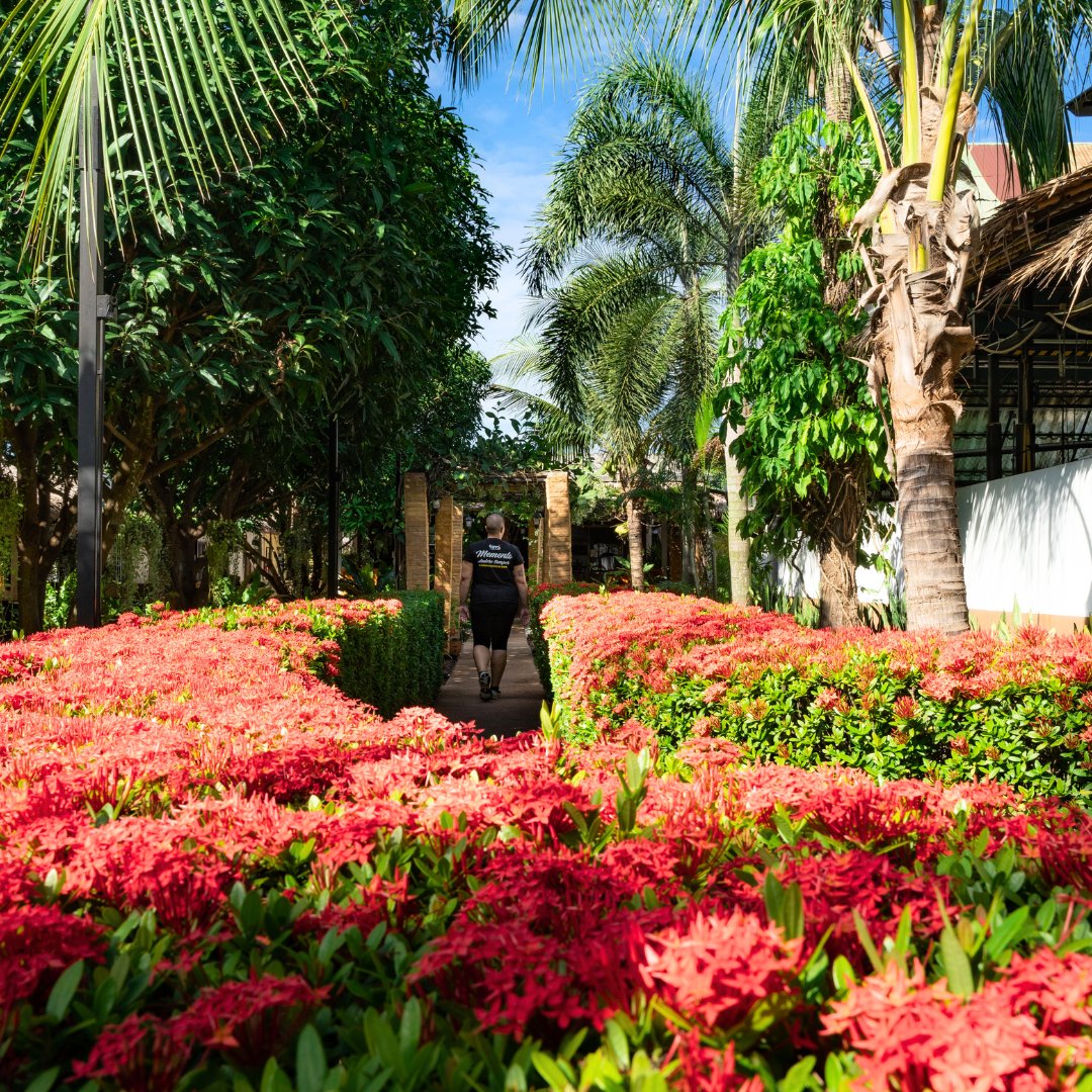 kombatgroup's tweet image. Ever felt like life’s too loud and you just need space to reset?🧭 This is your sign to start your journey.
#ThailandRetreat #MuayThaiCamp #SoloTravel #WellnessJourney #MartialArtsTraining #FitnessEscape #TransformationTrip #MindBodyReset #MuayThaiThailand #KombatGroupThailand