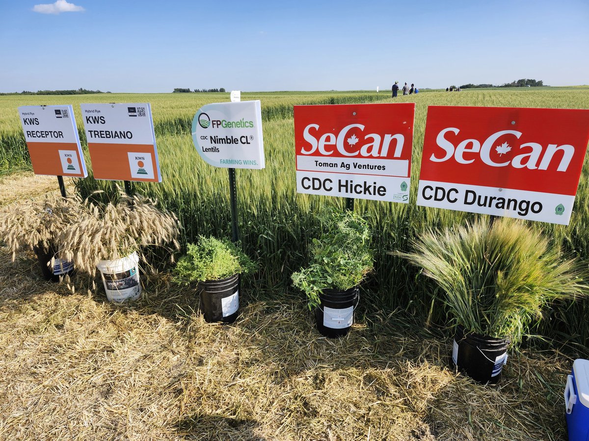 Justin Dering, PAg, CCA tweet media