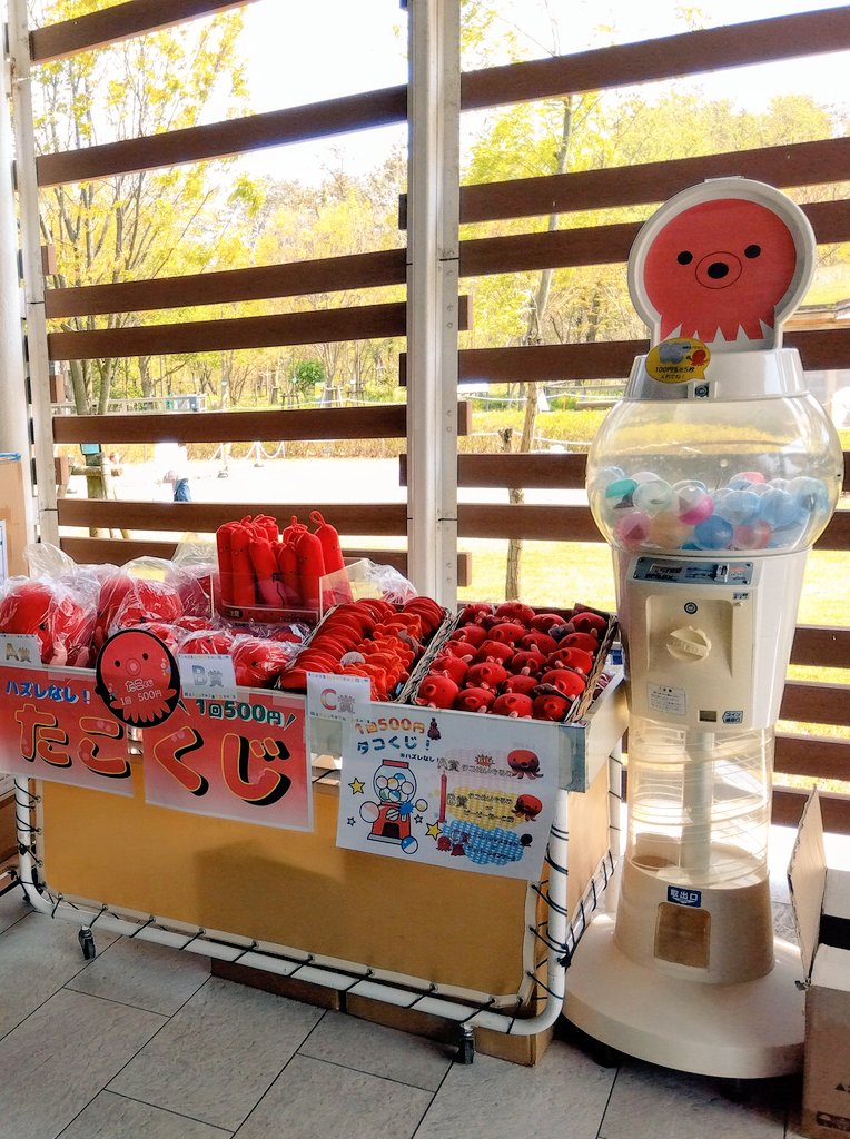 marinepiaheart's tweet image. GWで人気だった「たこくじ」を夏にも開催します🐙✨

🐙期間:2025.8/2〜9 、8/16.17の10日間
🐙営業時間:12:30〜15:00
🐙場所:ショップ向かい通路

※当日の天候や状況により、やむを得ず営業を中止する場合がございます。ご了承ください。

#マリンピア日本海
#たこ